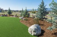 Synthetic Grass Living image 7